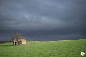 LEM Perseverance AndyWasley