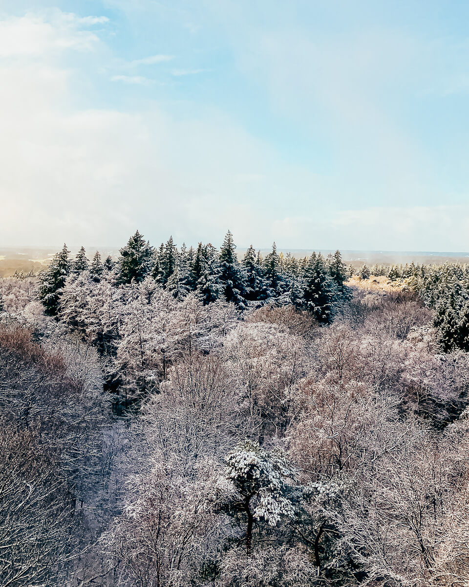 Explore trail running and mindfulness in nature. In 2024, embrace slowing down, self-discovery, and capturing the outdoors' beauty as running fuels the soul.